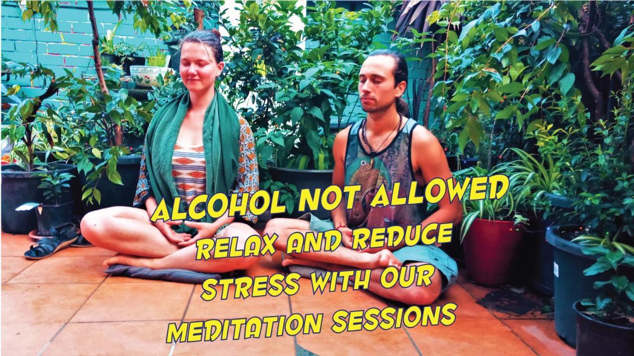 Zen Harmony House Sydney Hotel Екстериор снимка