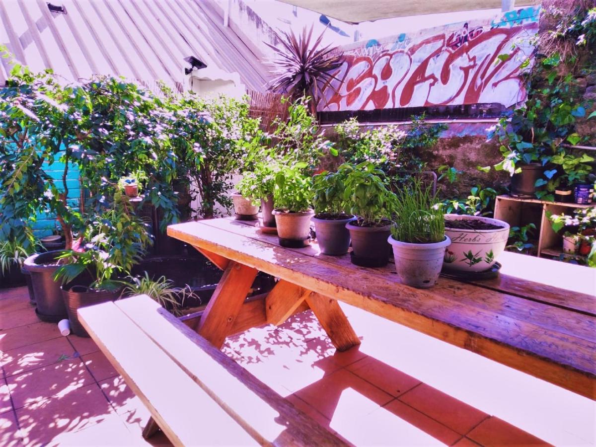 Zen Harmony House Sydney Hotel Екстериор снимка